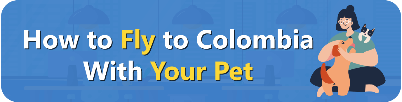 How to Fly to Colombia With Your Pet