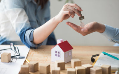 Real Estate Agents in Colombia